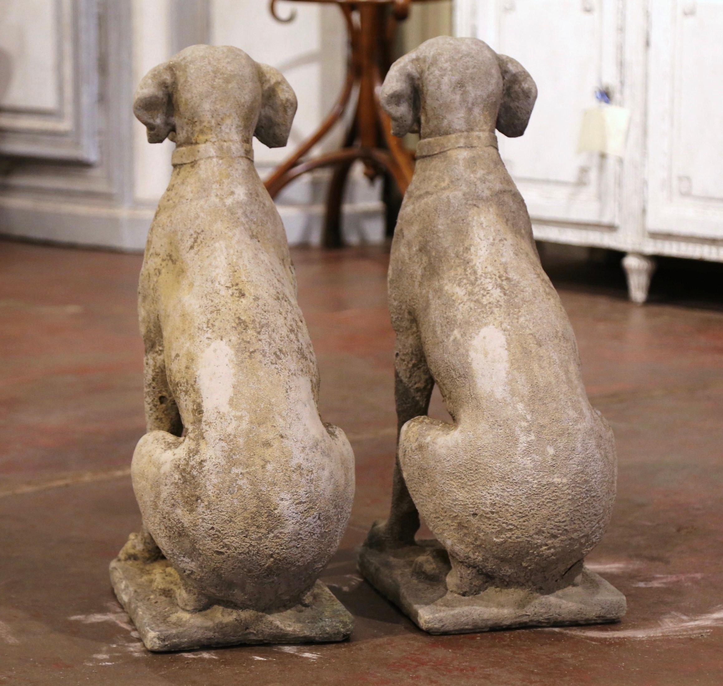 Pair of French Carved Stone Weathered Patinated Labrador Dog Sculptures 4
