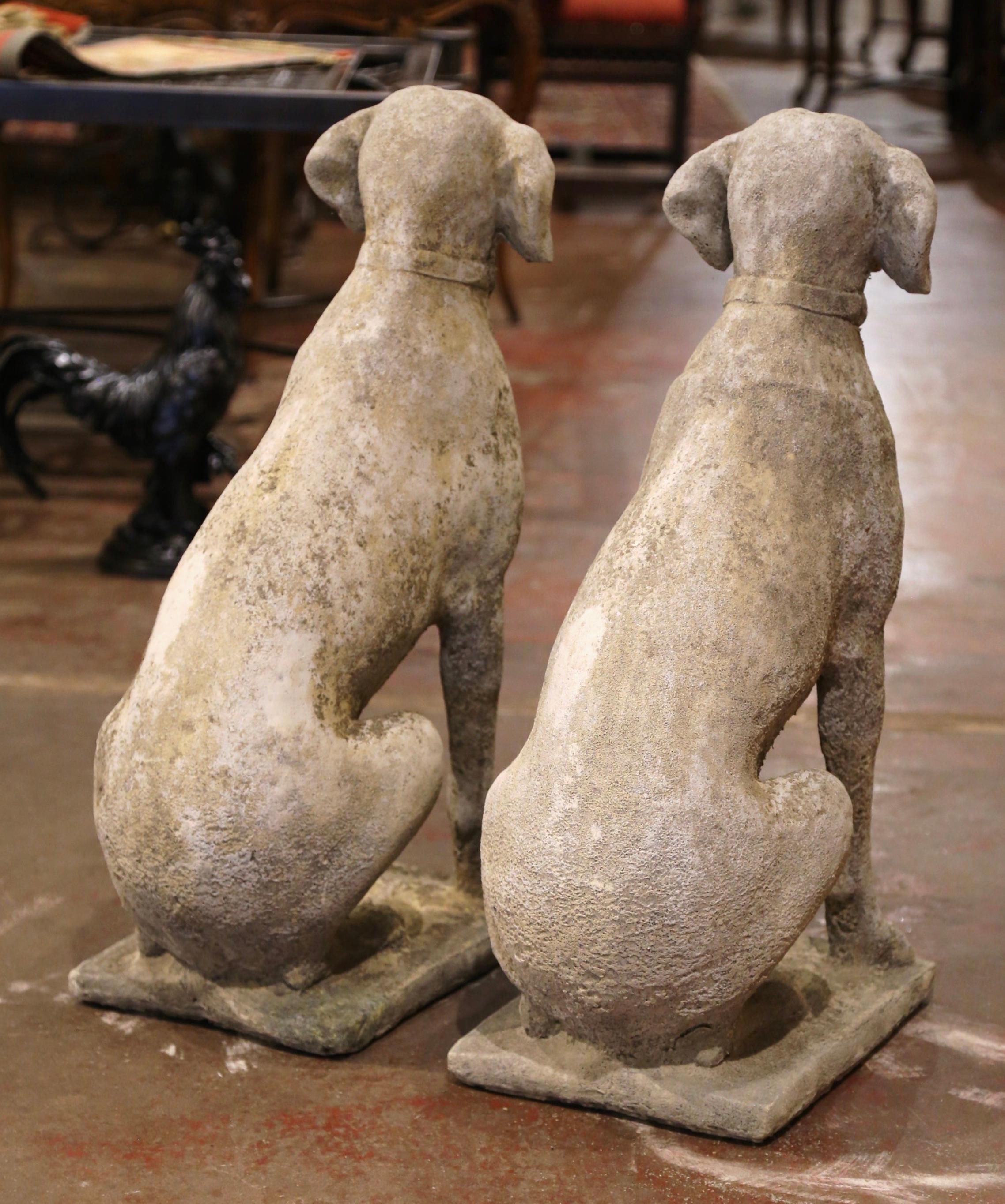 Pair of French Carved Stone Weathered Patinated Labrador Dog Sculptures 5