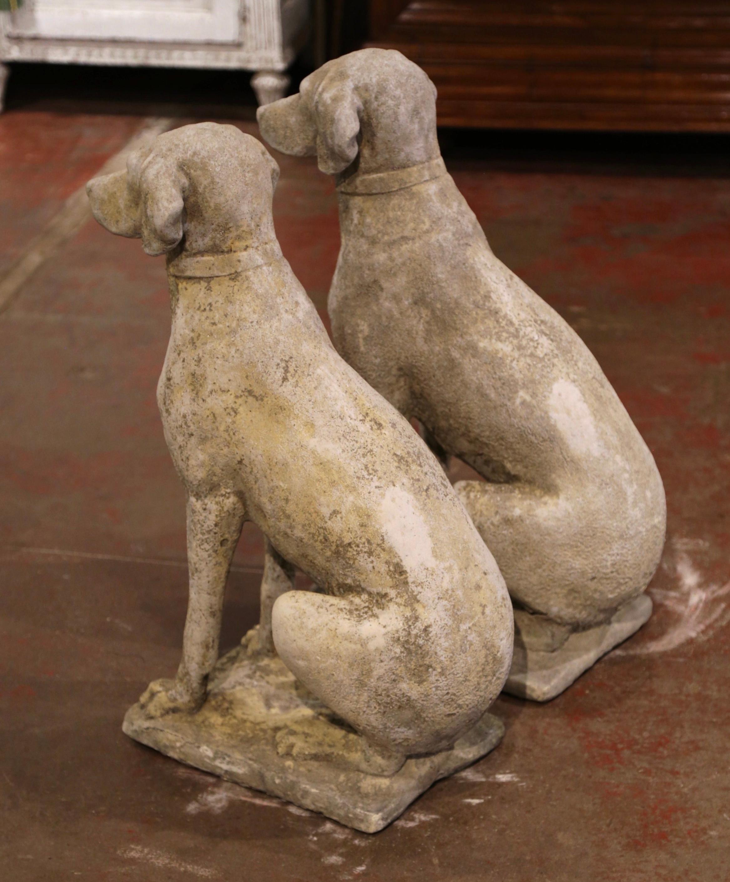 Pair of French Carved Stone Weathered Patinated Labrador Dog Sculptures 7