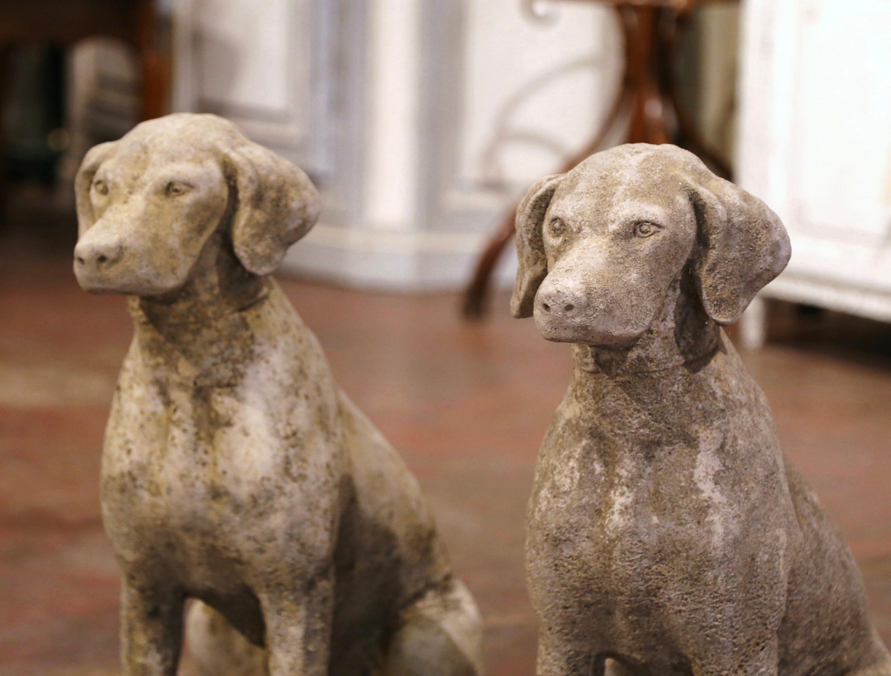The hunting dogs sculptures were crafted in France, circa 2000. The stately, vintage Labradors with collar are set on a flat base and sitting on their back legs; they have wonderful expression and are further embellished with a collar around their