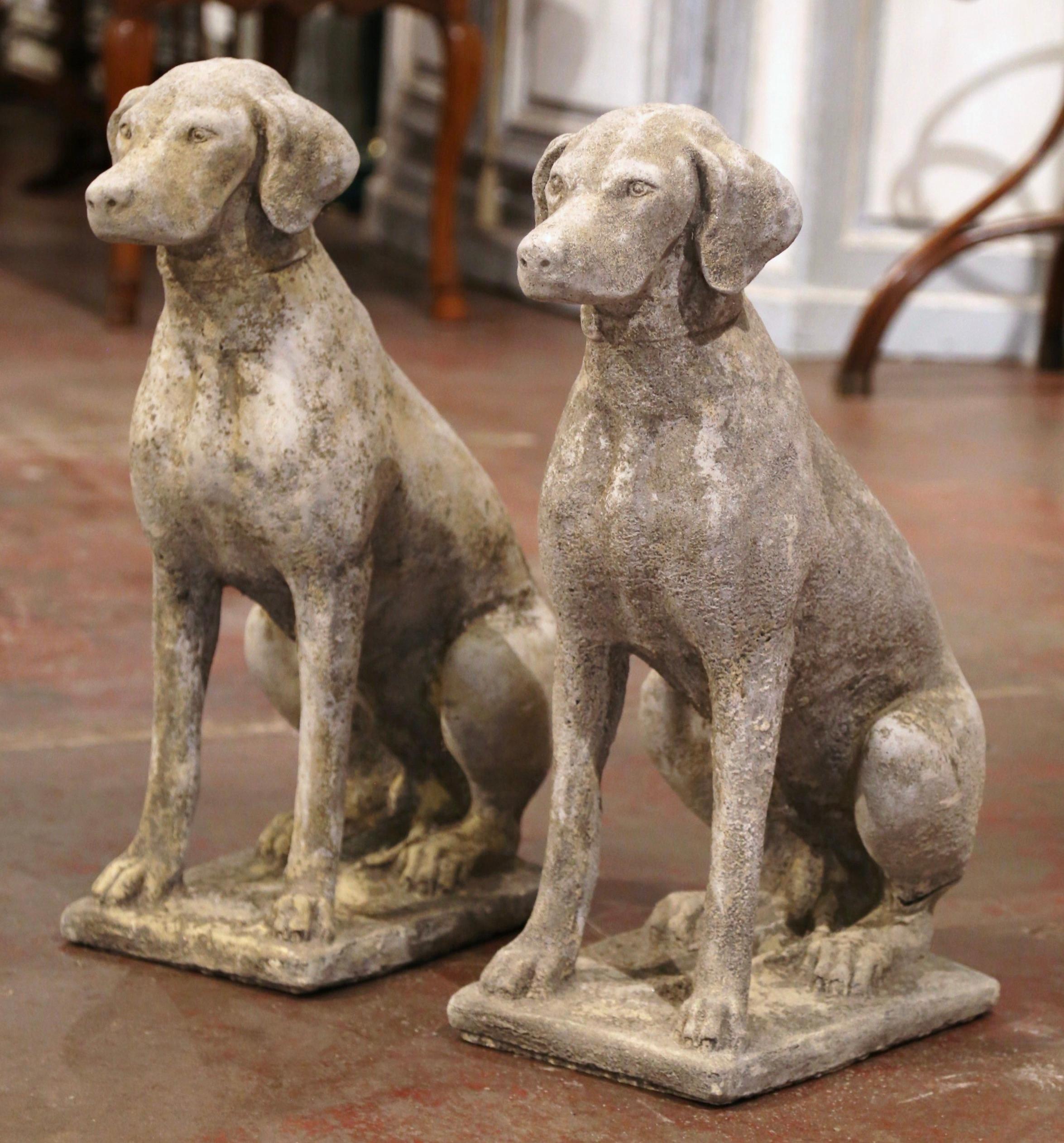 Contemporary Pair of French Carved Stone Weathered Patinated Labrador Dog Sculptures