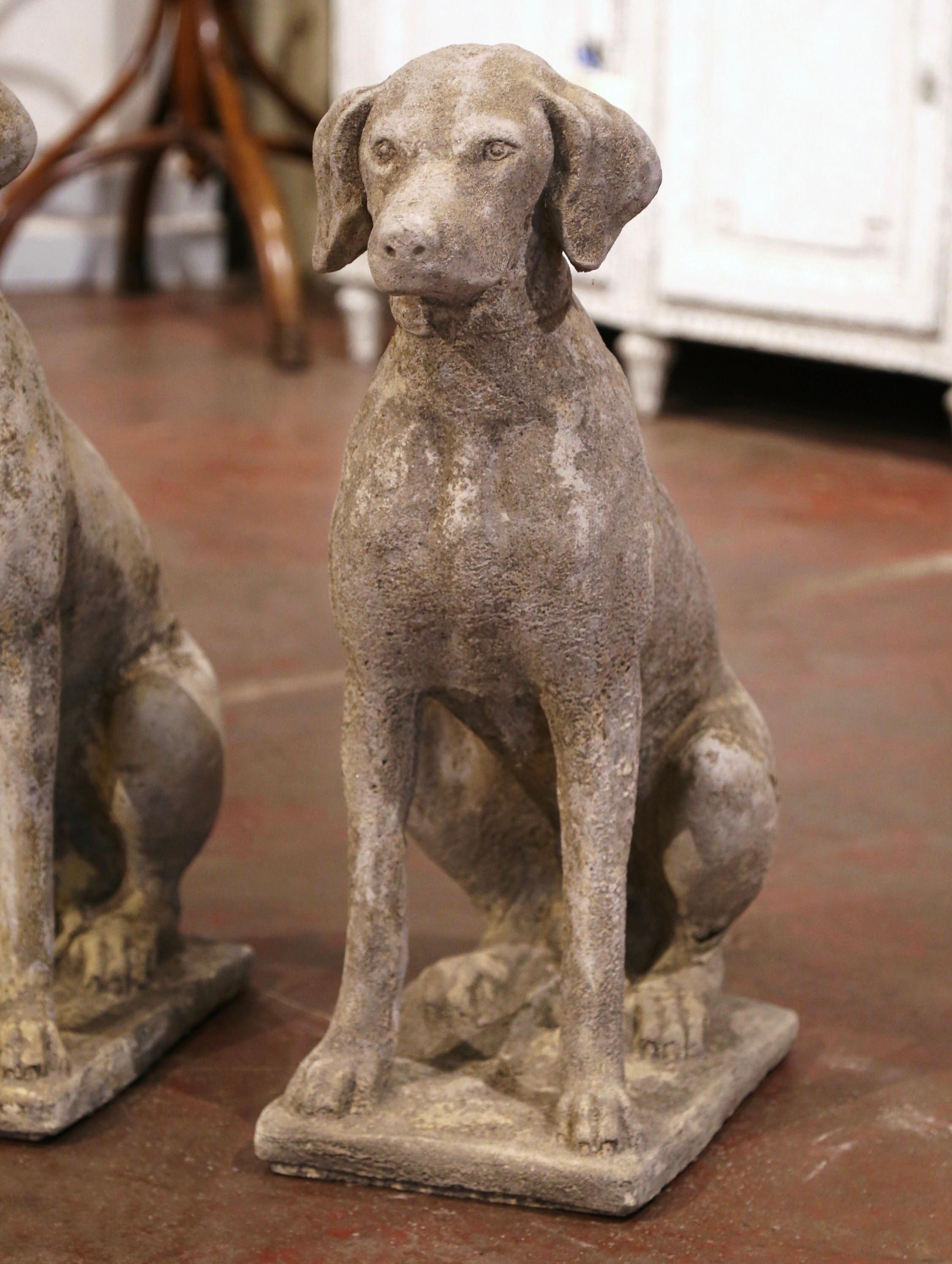 Cast Stone Pair of French Carved Stone Weathered Patinated Labrador Dog Sculptures