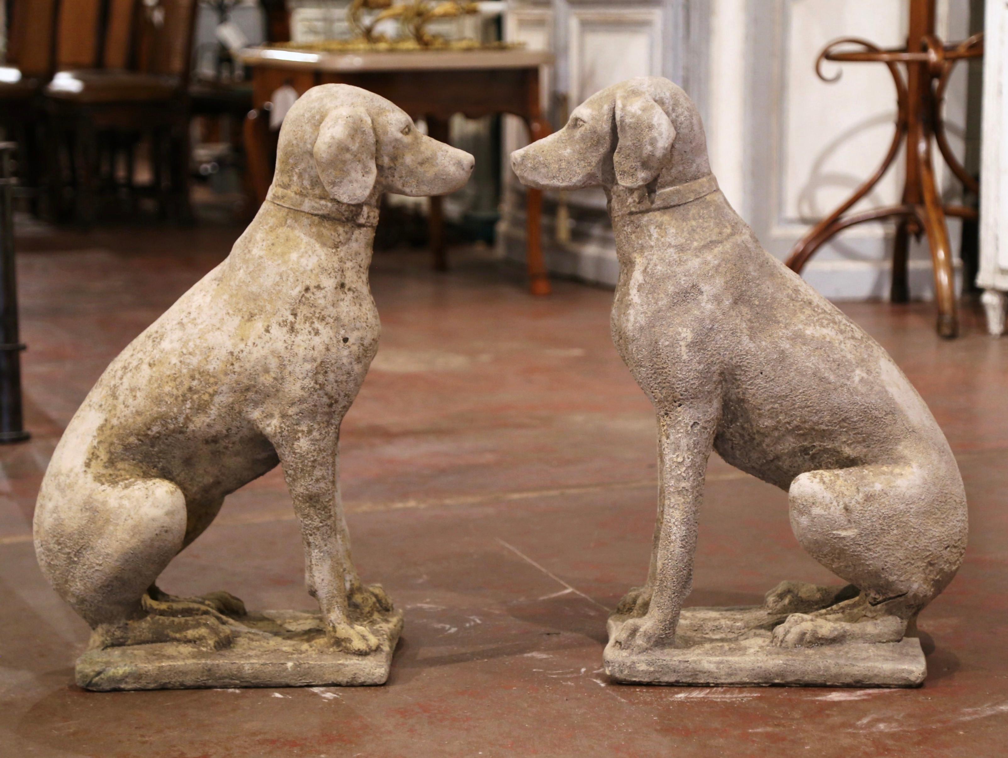 Pair of French Carved Stone Weathered Patinated Labrador Dog Sculptures 1