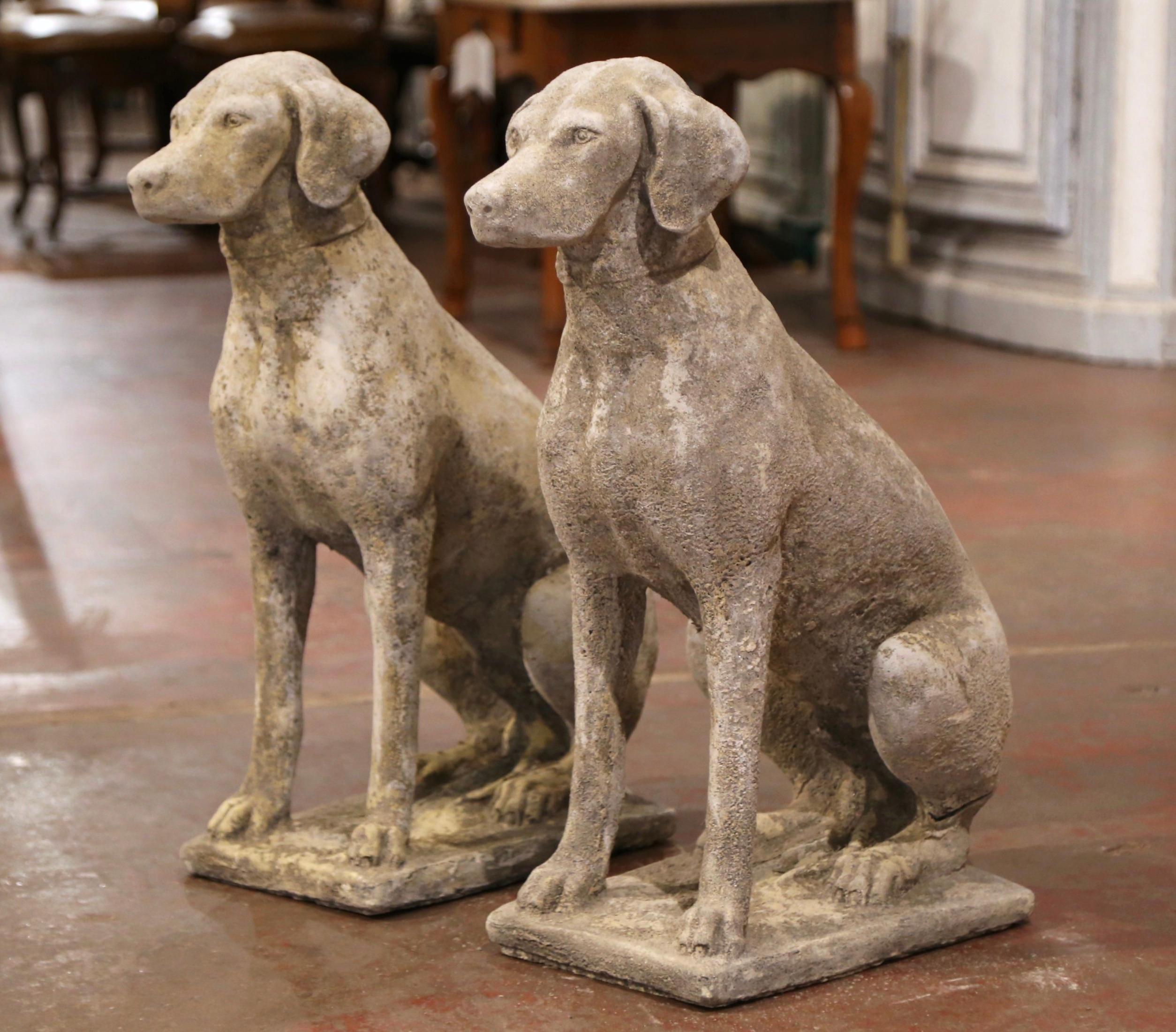Pair of French Carved Stone Weathered Patinated Labrador Dog Sculptures 3