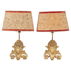 Pair of French Cast Brass Lion Motif Table Lamps