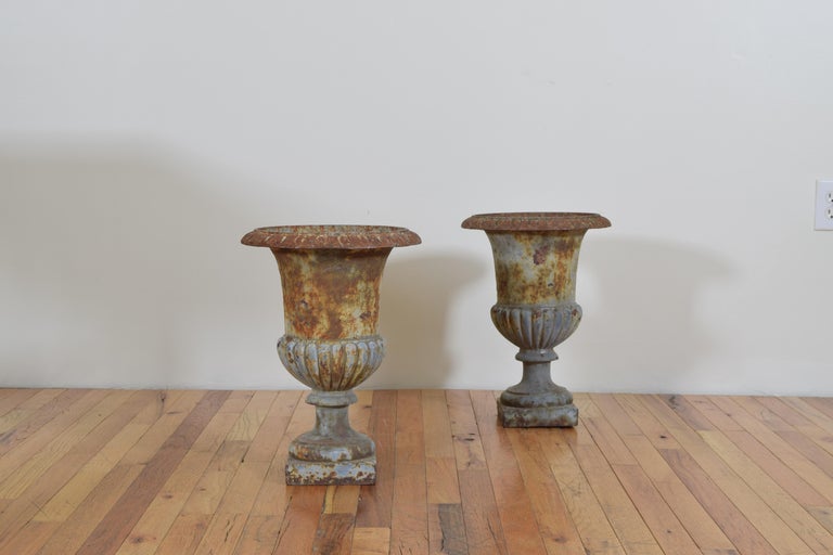 Pair of French cast iron and parcel painted campana form urns early 20th century. Retaining remnants of grey paint, minor losses.