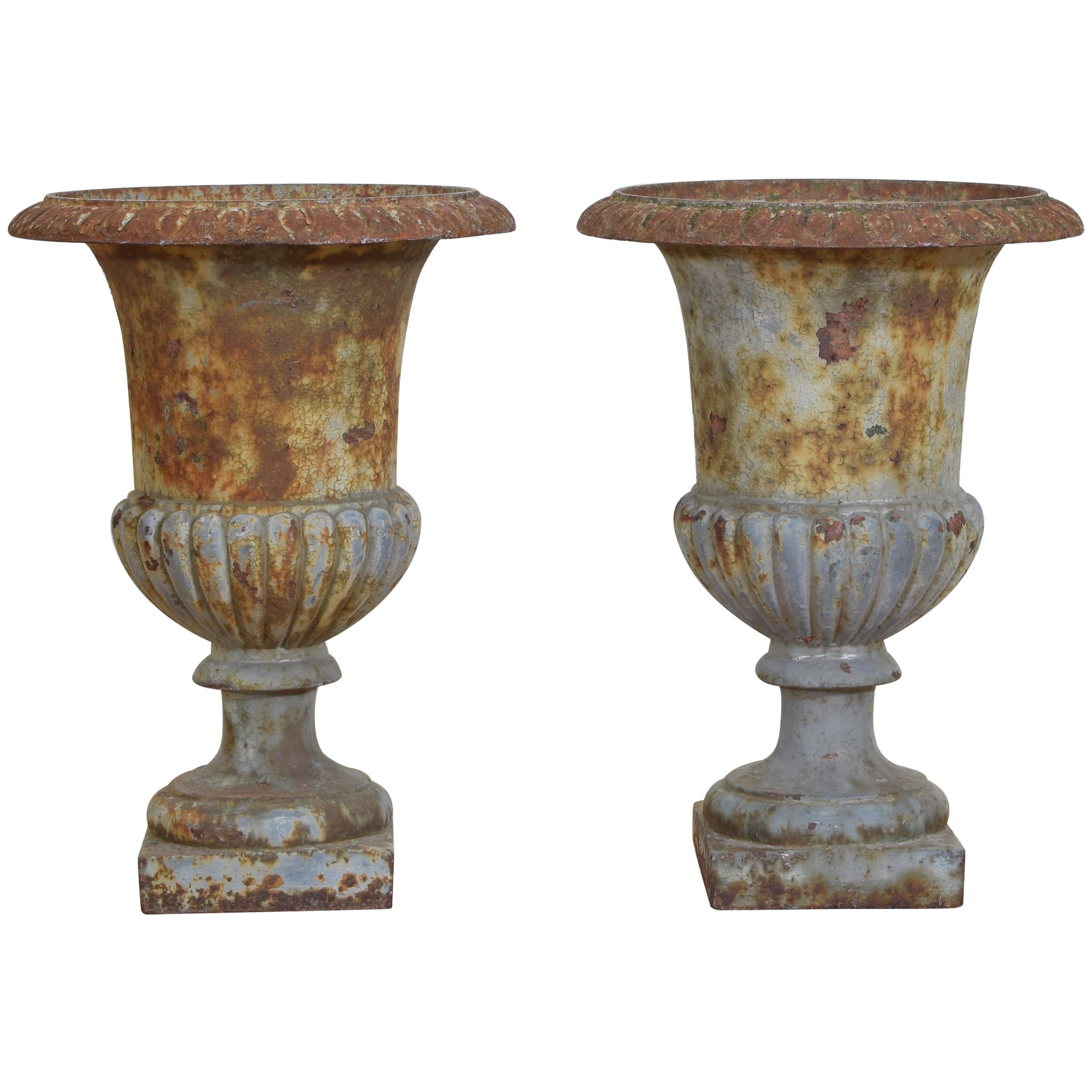 Pair of French Cast Iron and Parcel Painted Campana Form Urns Early 20th Century