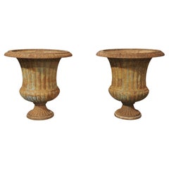 Pair of French Cast Iron Campana Form Planters, 20th C.