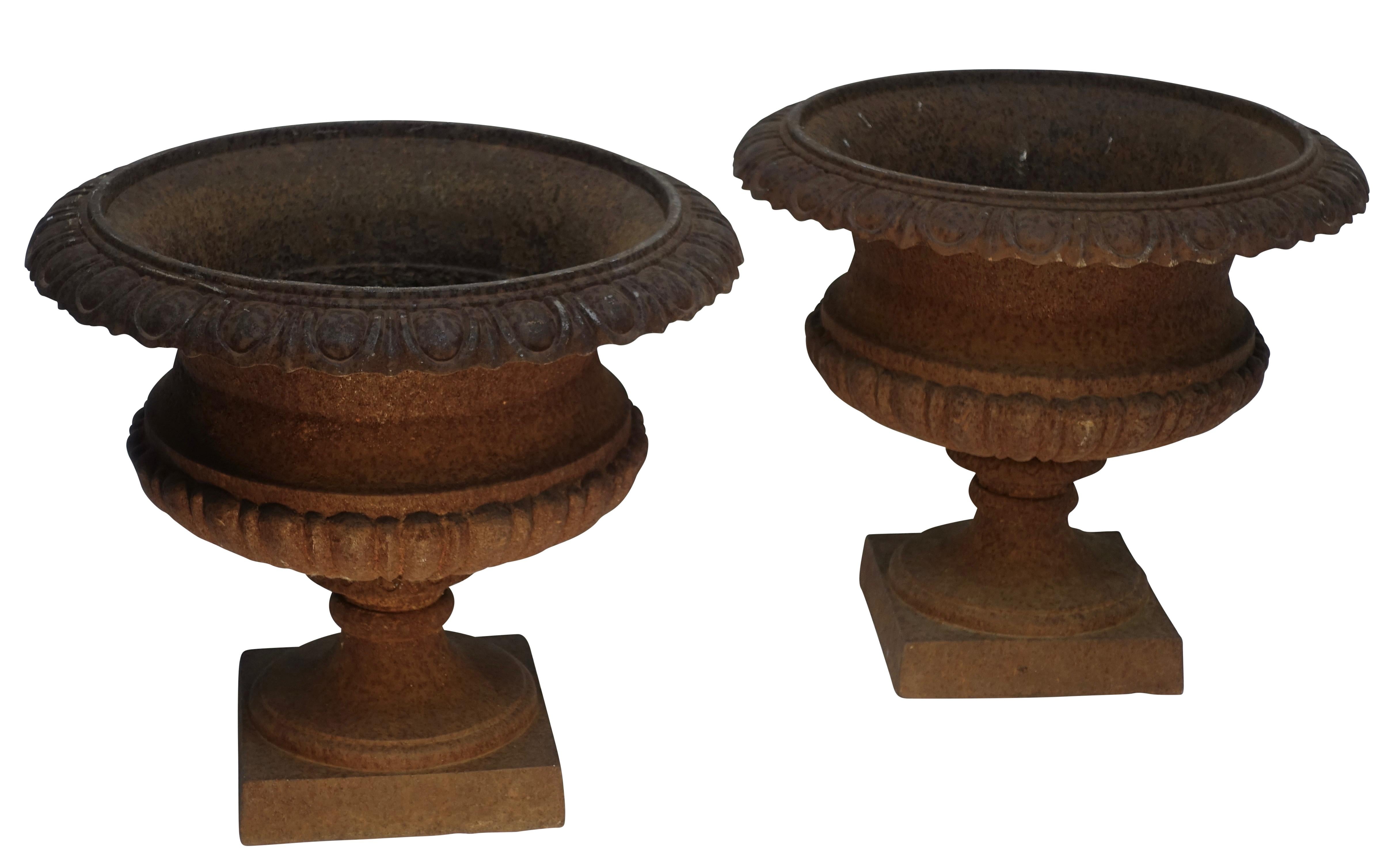 Pair of French Cast Iron Urns Jardinières with Egg and Dart Rim, 19th Century 5