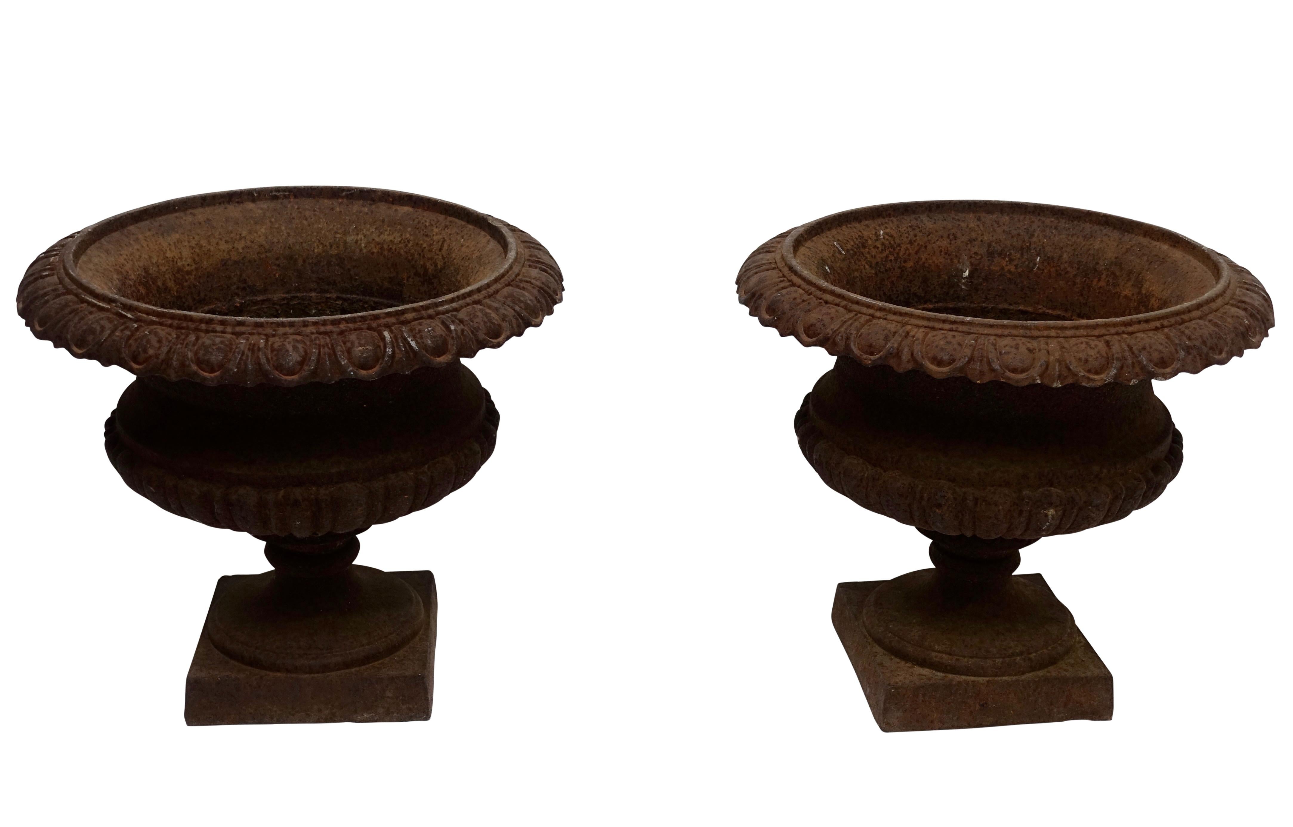 A handsome pair of 19th century cast iron jardinières with egg and dart rim over wasted body with ribbed bottom sitting on plinth base. France, circa 1880.