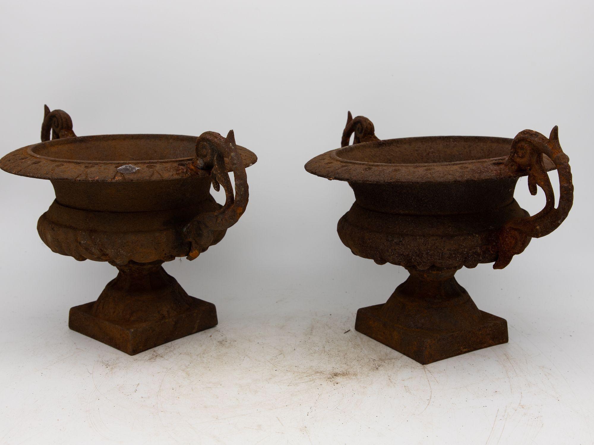 This pair of late 19th-century French cast iron garden urns exude timeless elegance and a rich history. Their aged, rusted patina bears witness to decades of weathering, adding authenticity to their charm. The unique lambs tongue pattern on the lip