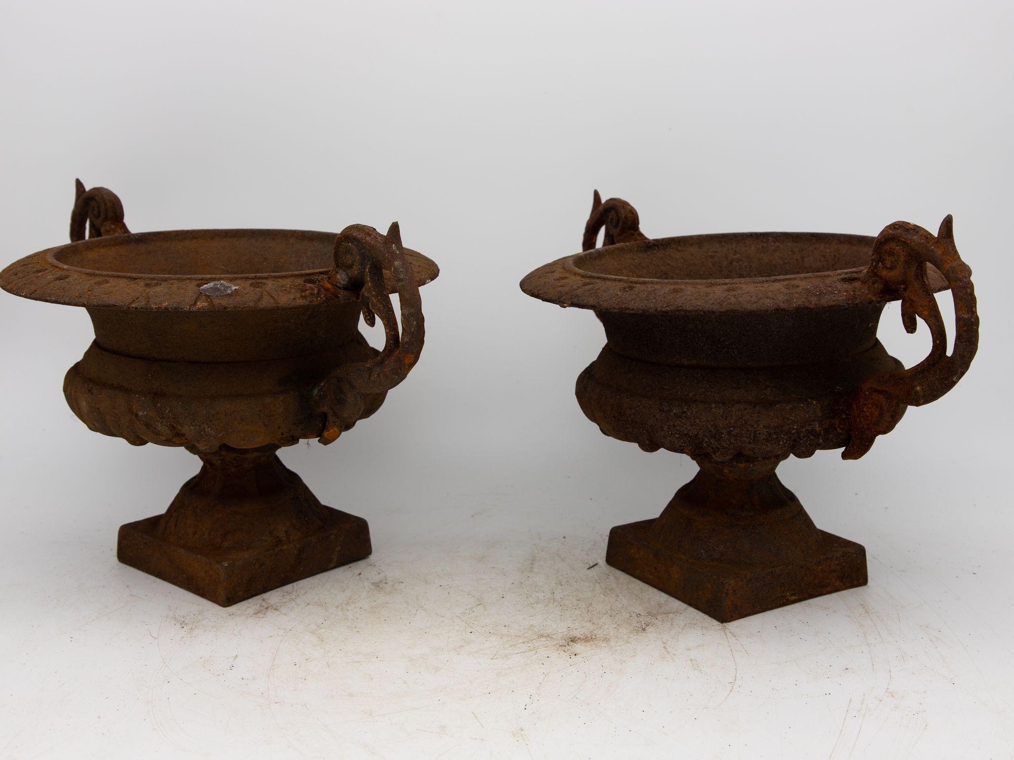 Questa coppia di urne da giardino in ghisa francese della fine del XIX secolo emana un'eleganza senza tempo e una ricca storia. La loro patina invecchiata e arrugginita testimonia decenni di intemperie, aggiungendo autenticità al loro fascino.