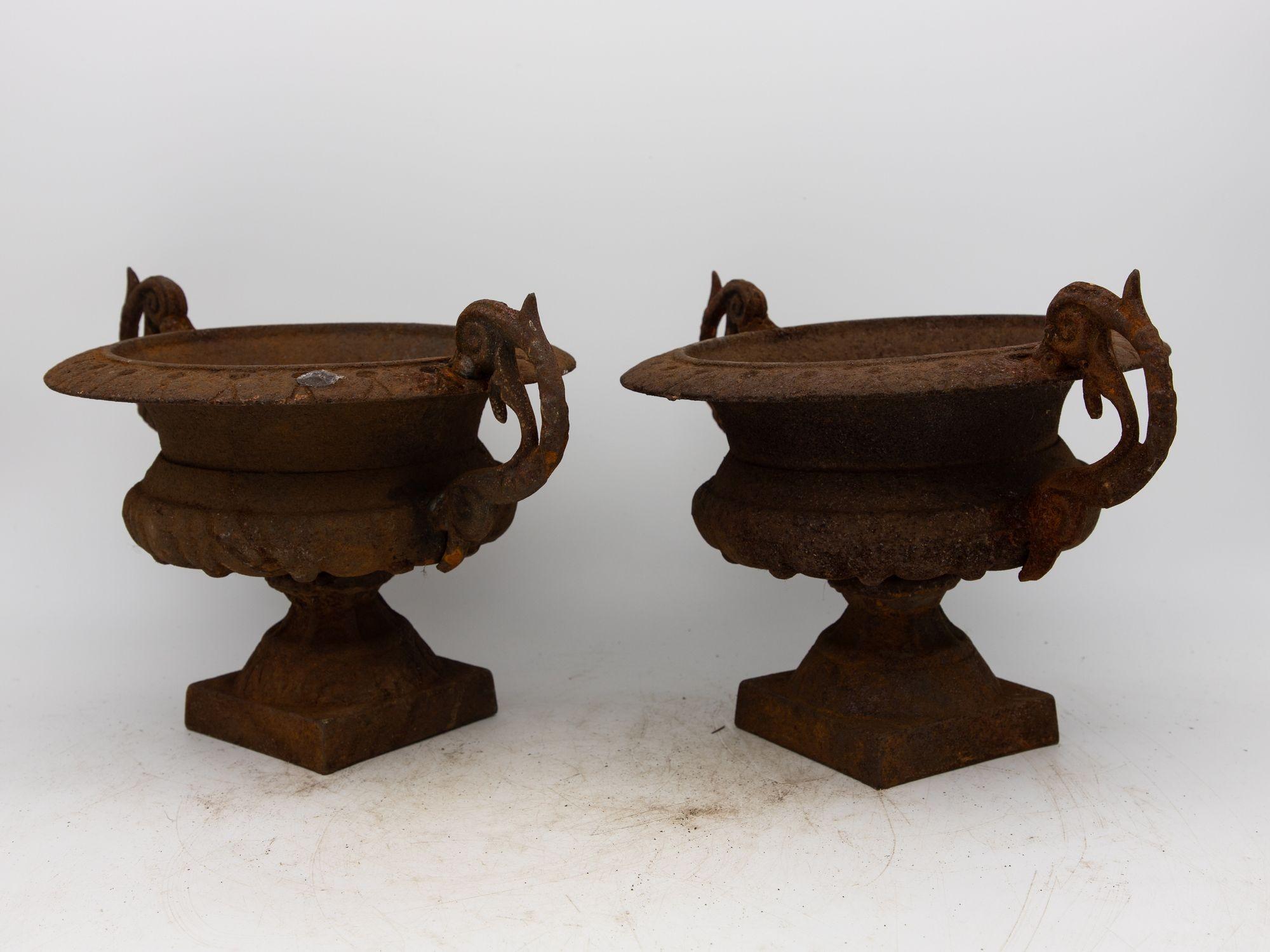 Pair of French Cast Iron Urns, late 19th Century In Good Condition For Sale In South Salem, NY