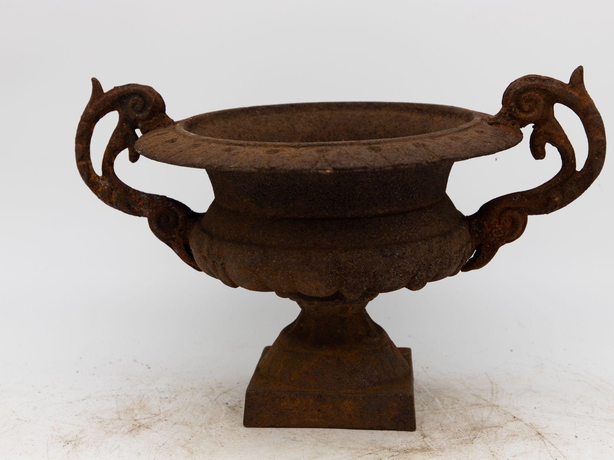Pair of French Cast Iron Urns, late 19th Century For Sale 1