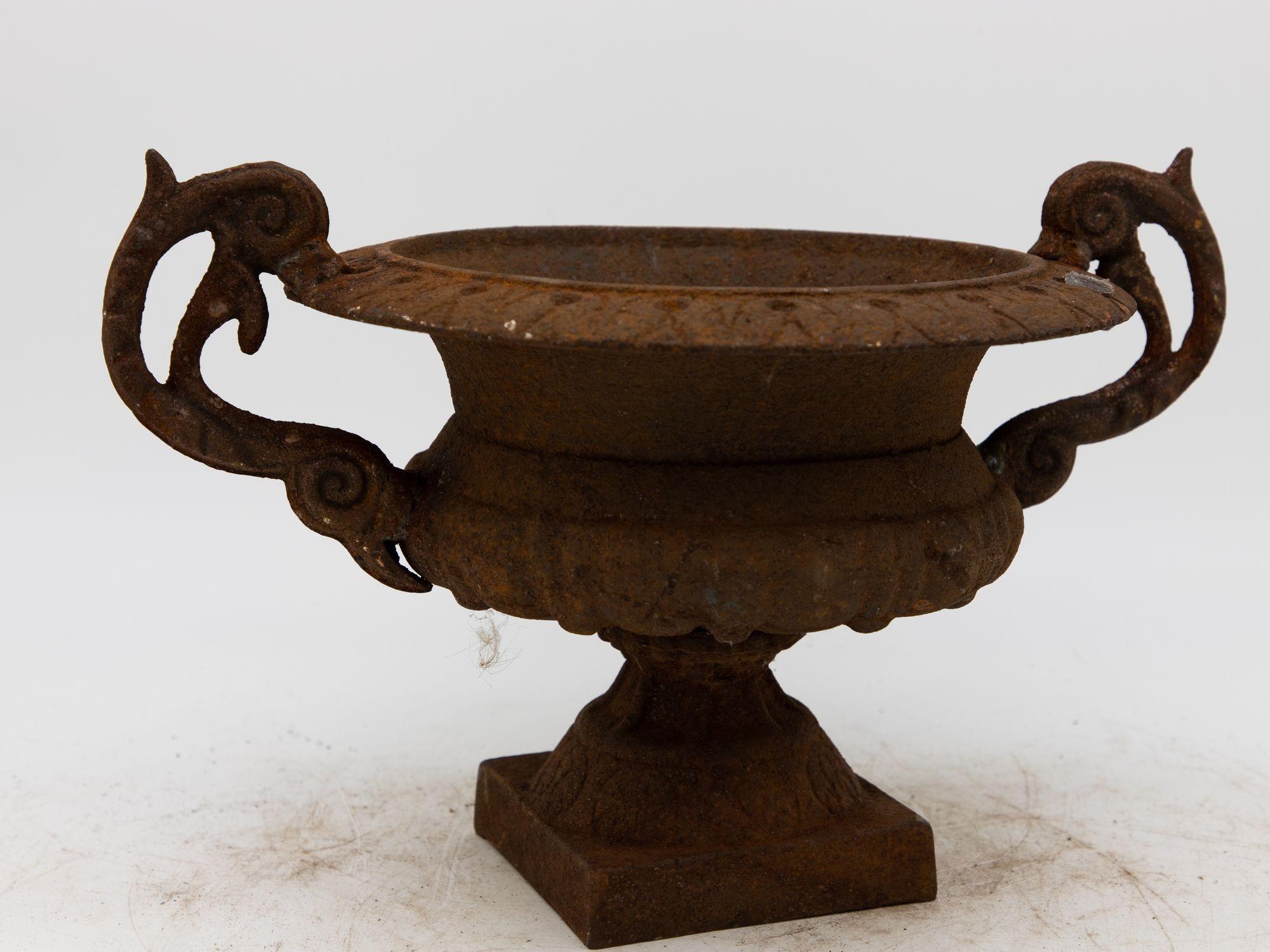Pair of French Cast Iron Urns, late 19th Century For Sale 4