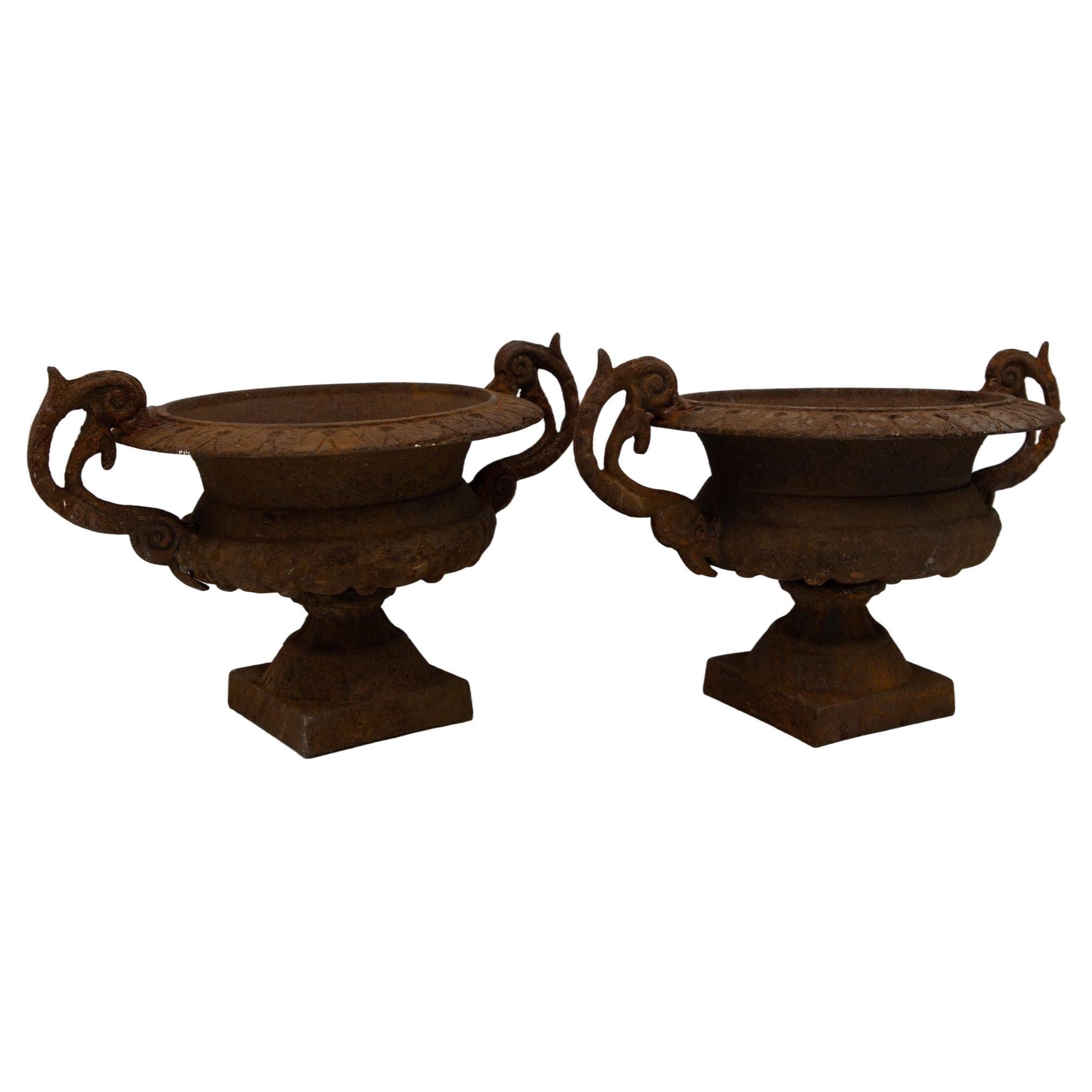 Pair of French Cast Iron Urns, late 19th Century For Sale