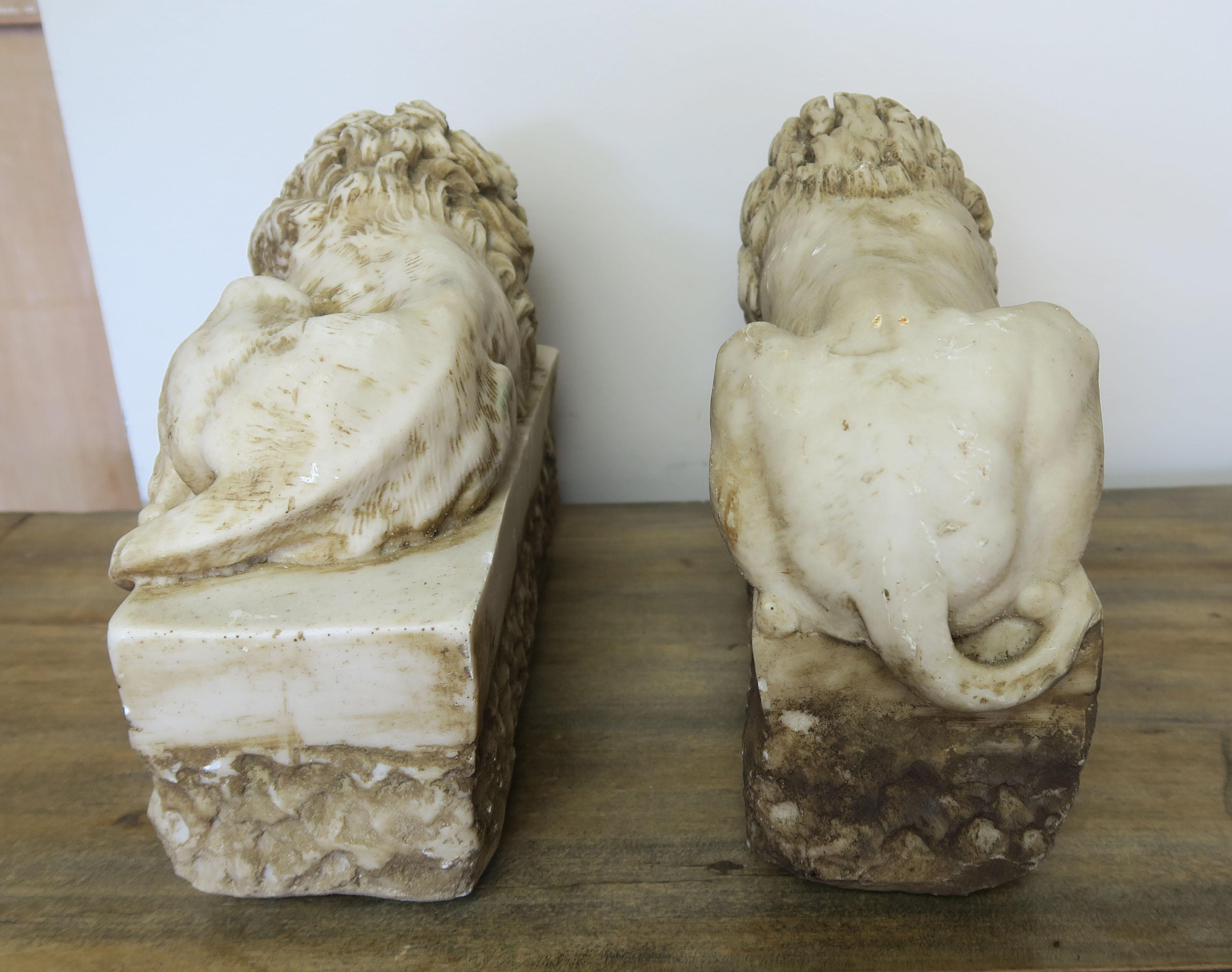Pair of French Cast Stone Lions, circa 1900 4