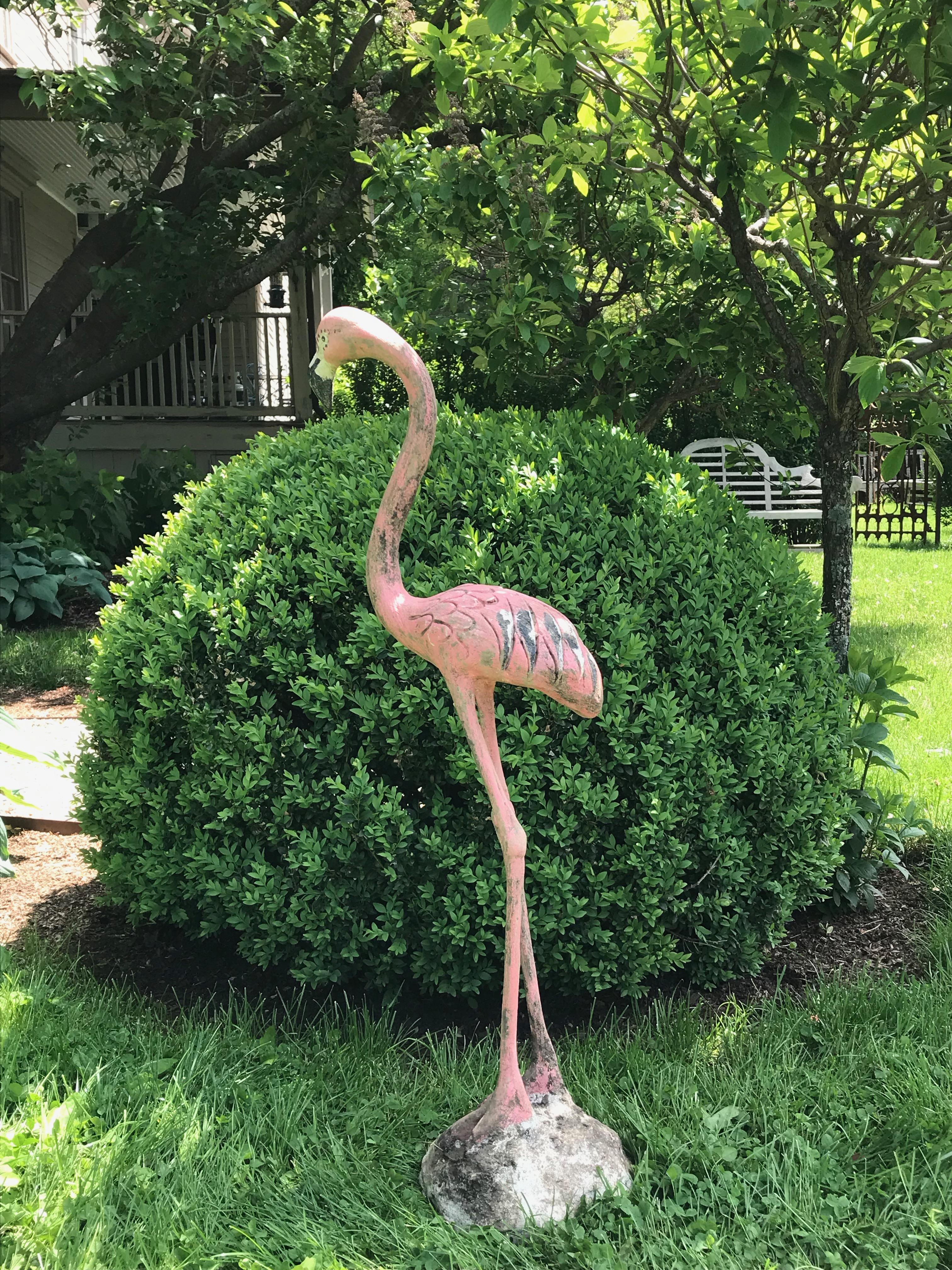 flamingo for sale