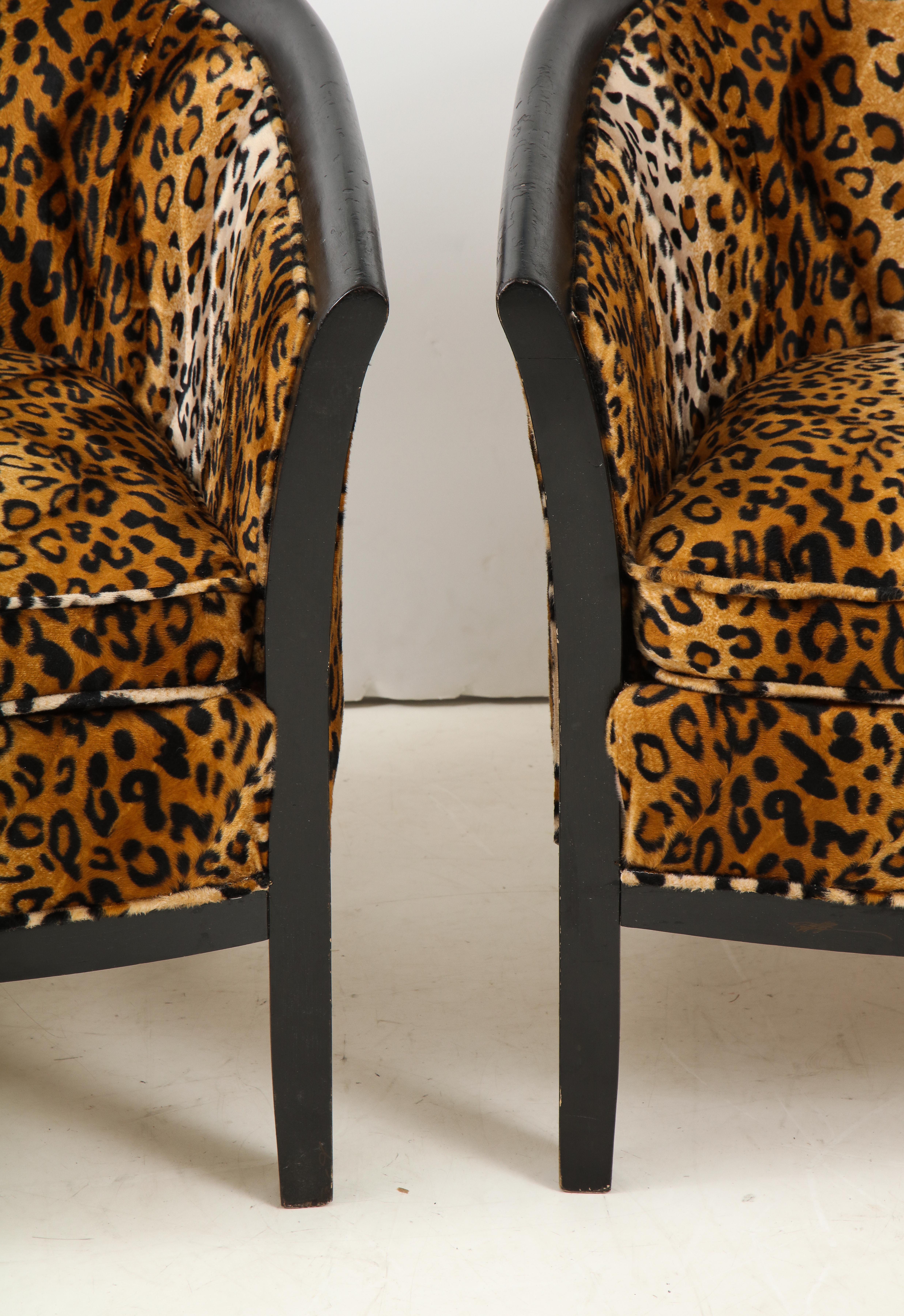 A pair vintage French barrel chairs in black lacquer with exposed square legs. Upholstered in a leopard velvet, these chairs will add instant personality to any room.