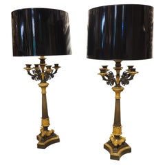 Pair of French Charles X Patinated Bronze Candelabra Lamps, Circa 1830s