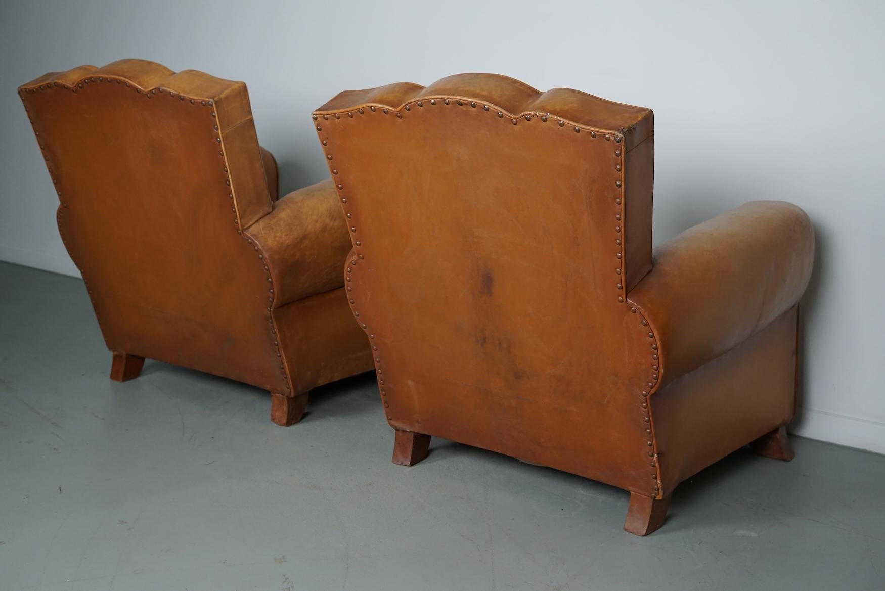 Pair of French Cognac Moustache Back Leather Club Chairs, 1950s 12