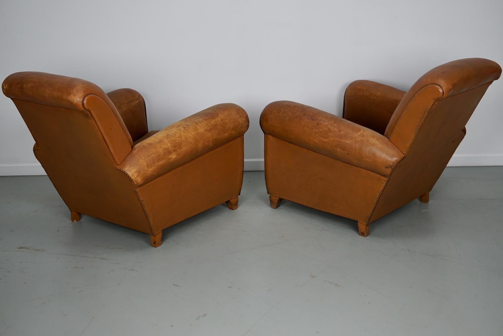 Pair of French Cognac Vintage Leather Club Chairs, 1950s For Sale 13