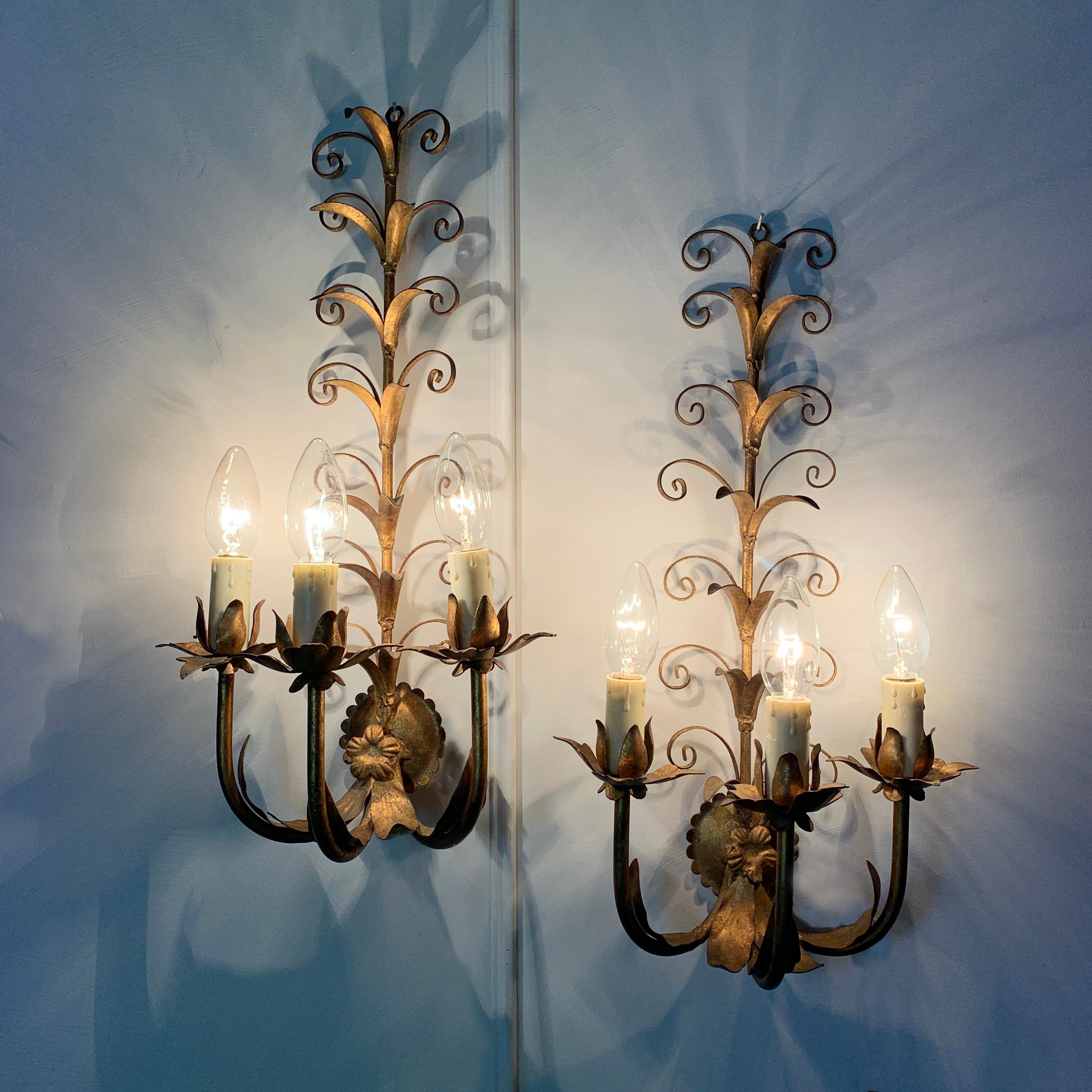 Pair of French curled leaf wall sconce's, circa 1960s
Original gilt finish
3 lamp holders per light, each taking E14 small screw in bulbs
Measures: 49cm height, 26cm width, 17cm depth
Hanging hook at top
Price is for the pair, 2 wall