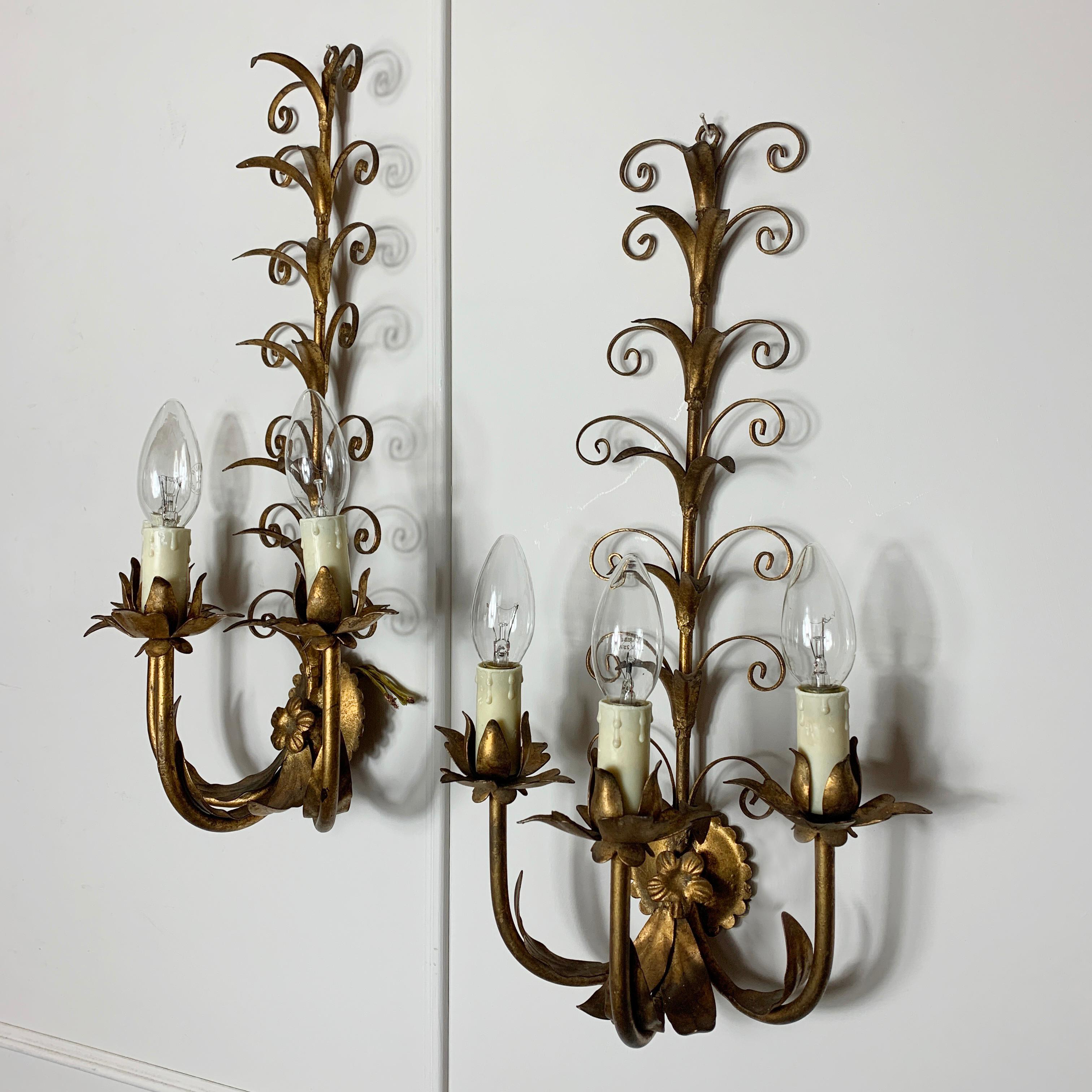 20th Century Gold French Scroll Leaf  Wall Lights, circa 1960s For Sale