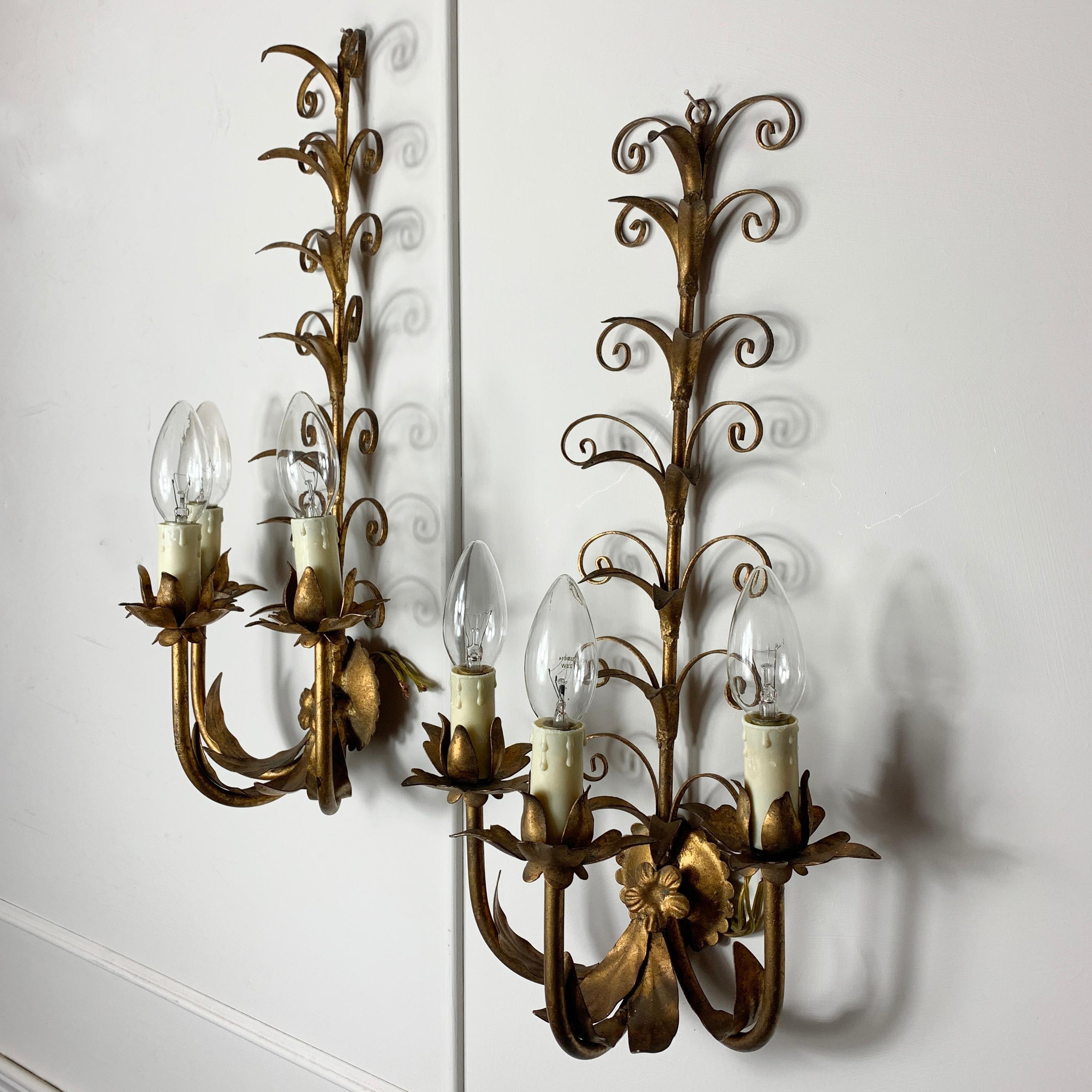 Gold French Scroll Leaf  Wall Lights, circa 1960s For Sale 1