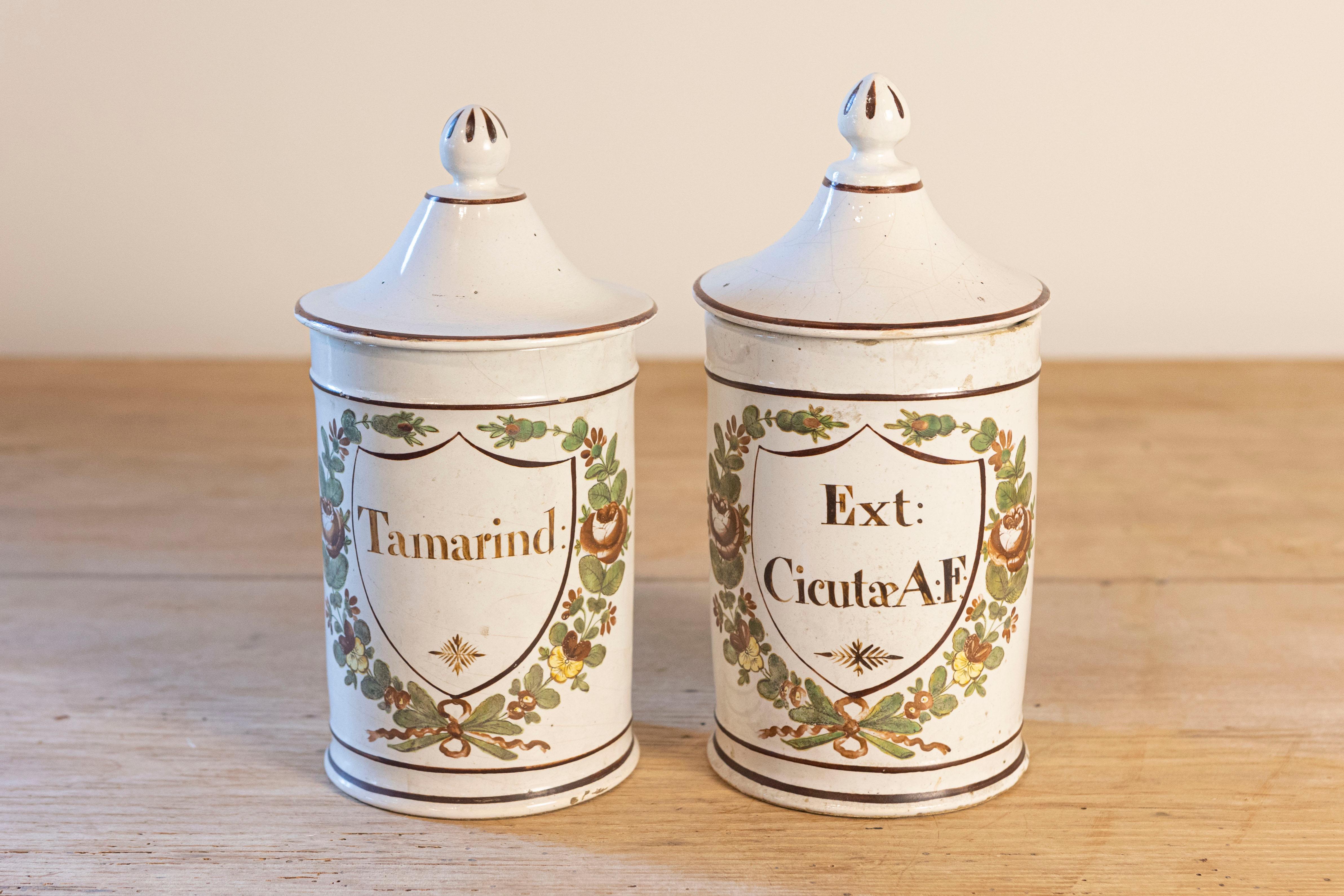 Paire de pots d'apothicaire à couvercle en céramique d'époque Directoire française de la fin du XVIIIe siècle, avec des motifs de feuillage peints à la main, étiquetés Tamarin et Ext. Cicutæ A:F, de l'usine Deroche. Née en France sous le Directoire,