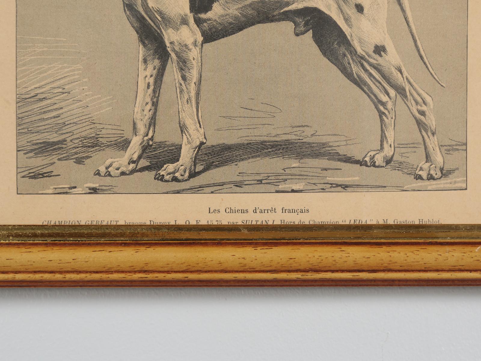 Pair of French Dog Prints, Early 1900s from Paris 3