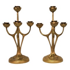 Pair of French Dore Bronze Candelabra