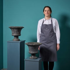 Pair of French Dove Grey Marble Urns