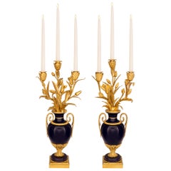Louis XVI Lighting