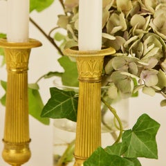 Pair of French Early 19th Century Small Empire Gilt Bronze Candlesticks