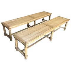 Pair of French Early 20th Century Benches