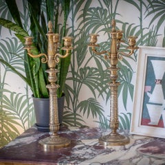 Paire de candélabres Empire en bronze et mercure doré