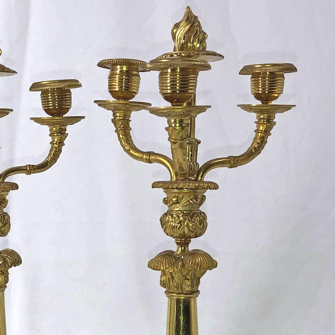 Coppia di candelabri a tre luci in bronzo dorato francese Impero con motivi nautici, delfini e conchiglie.
 