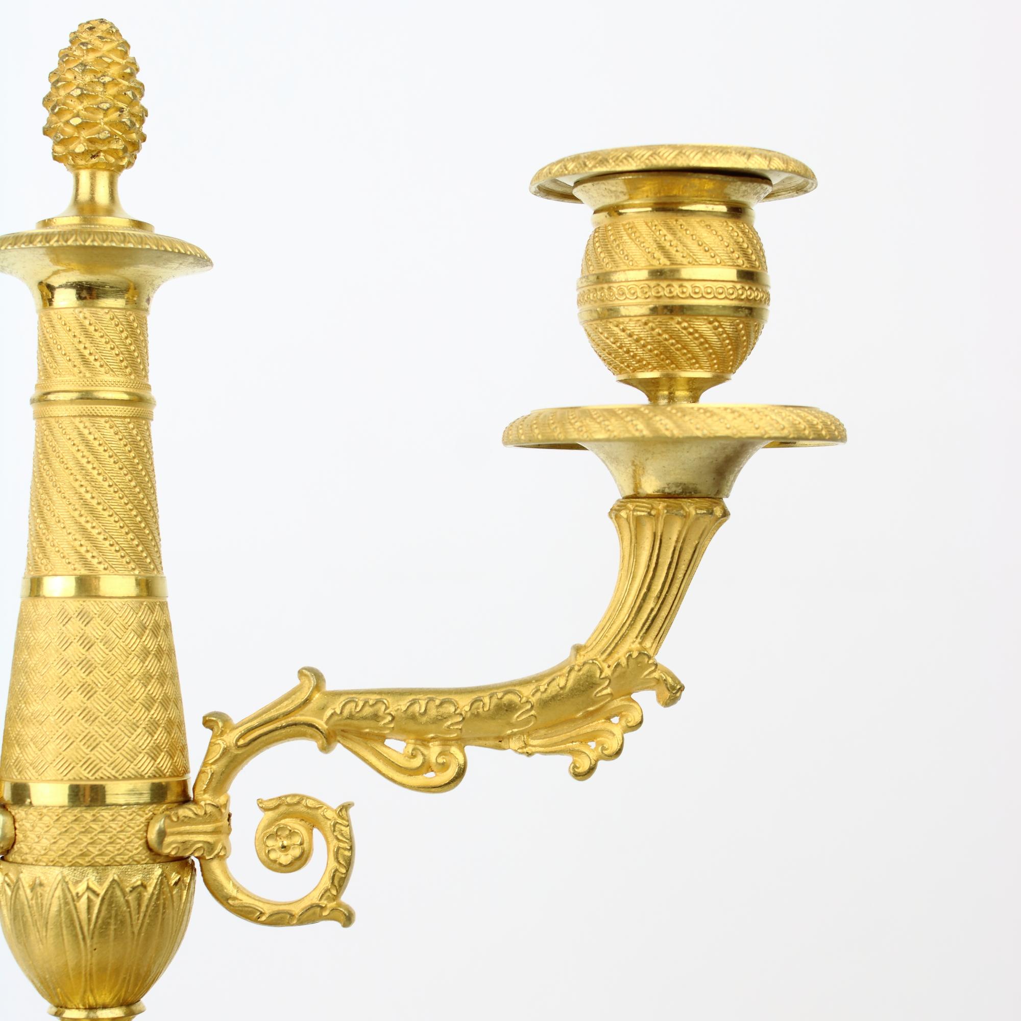 Pair of French Empire One-/Two-Light Patinated and Gilt Bronze Candelabra 8