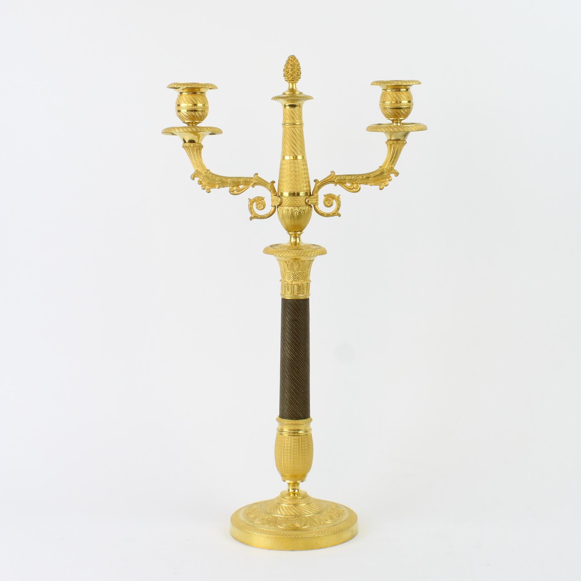 Pair of French Empire One-/Two-Light Patinated and Gilt Bronze Candelabra 3