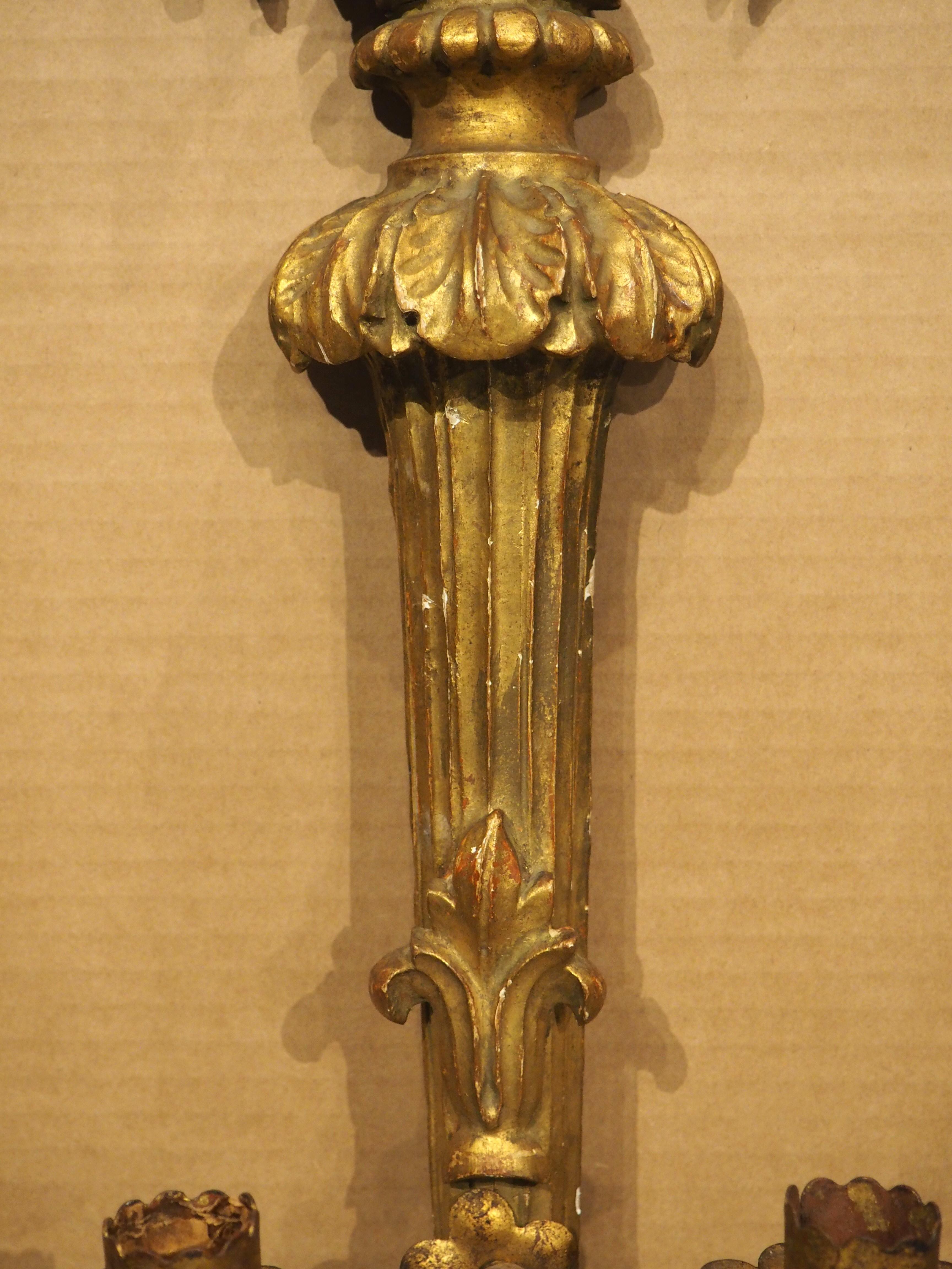 XIXe siècle Paire d'appliques en bois doré d'époque Empire français, vers 1815 en vente
