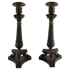 Pair of French Empire Revival Patinated and Gilt Bronze Candlesticks, 11.5" H