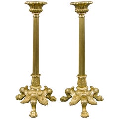 Pair of French Empire Style Brass and Bronze Candlesticks on Tripod Lion Paws