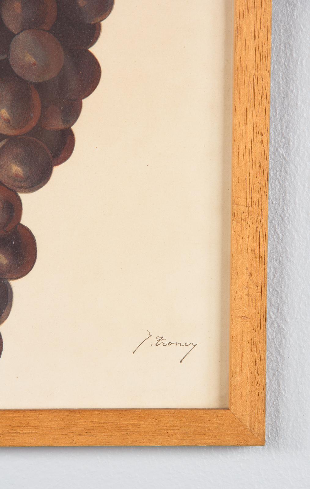 Pair of French Framed Engravings of Grapes, 20th Century For Sale 10