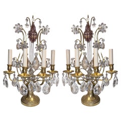 Antique Pair of French Gilt Bronze Candelabra