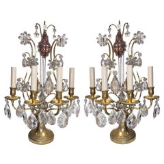 Antique Pair of French Gilt Bronze Candelabra