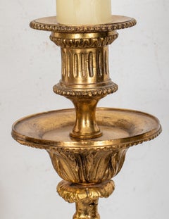Pair of French Gilt Bronze Candelabra Sconces