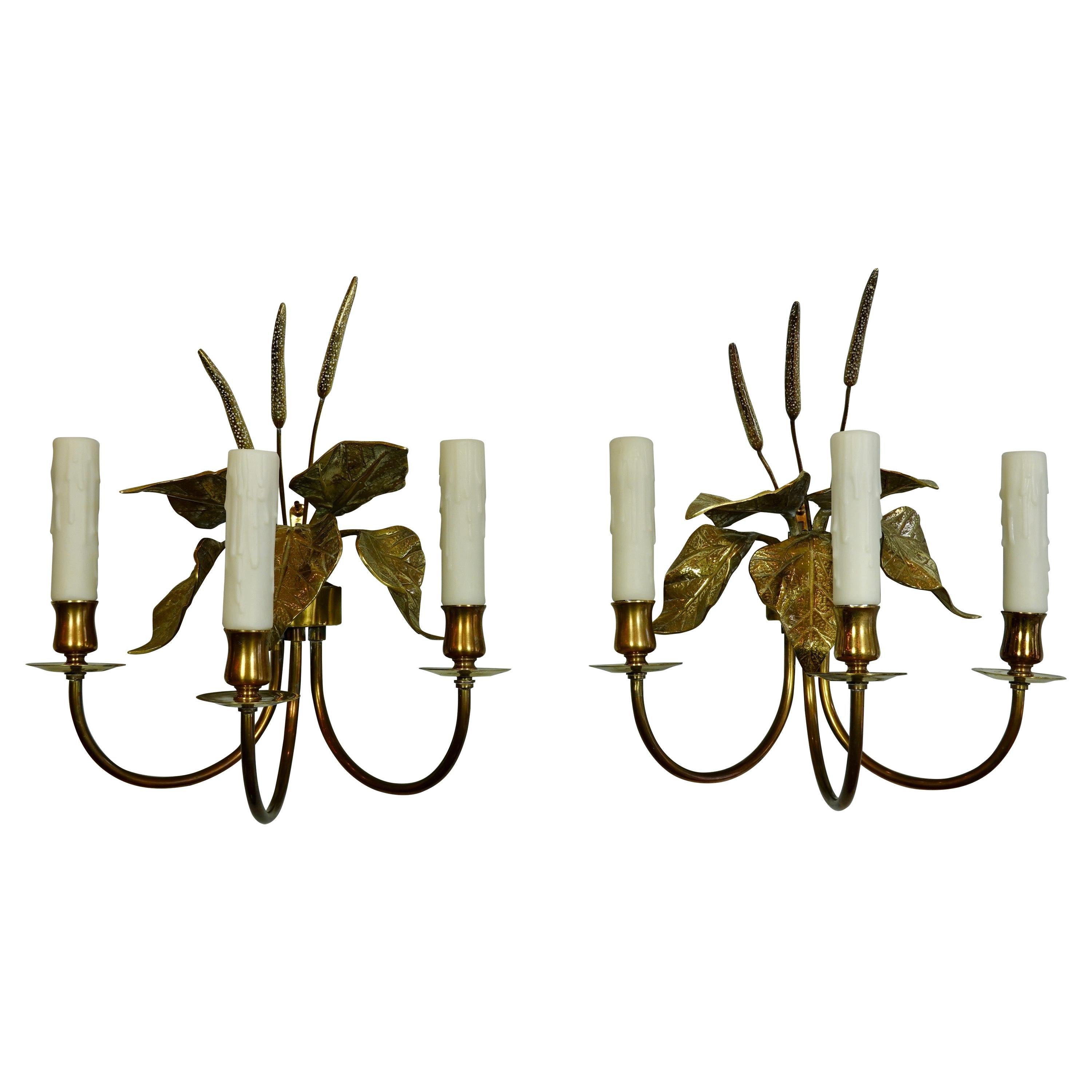 Pair of French Gilt-Bronze Cattail Sconces in the Style of Maison Charles