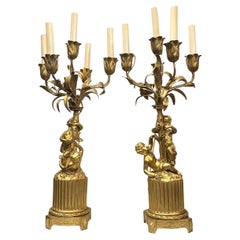Table Lamps