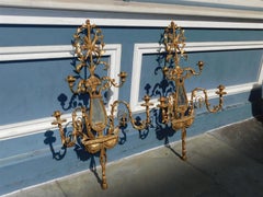 Pair of French Gilt Wood & Gesso Four Arm Foliage & Mirror Wall Sconces, C. 1820